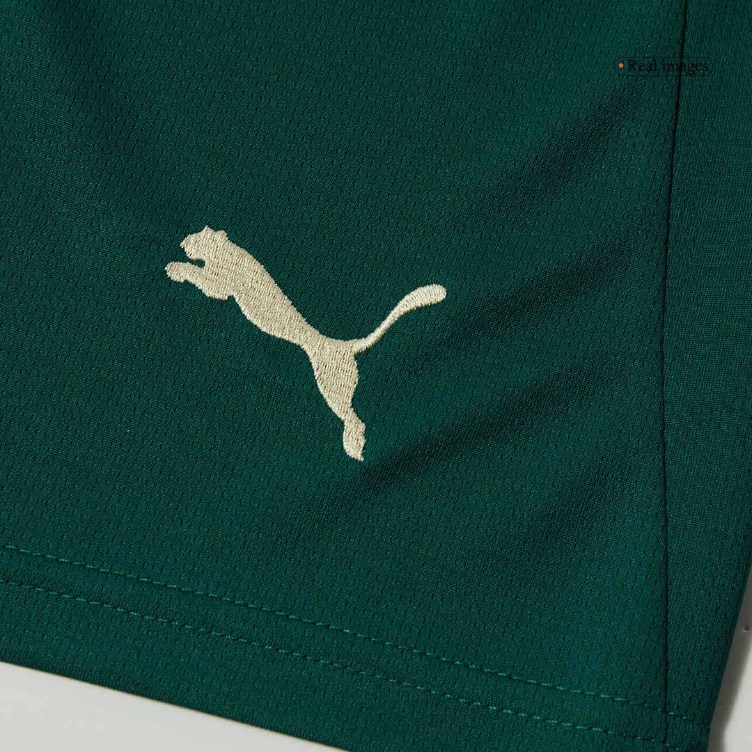 Portugal Home Soccer Shorts 2025-The Jerseys Shop